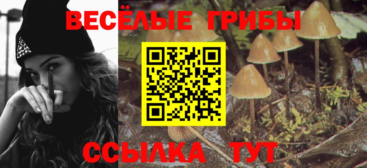 Псилоцибиновые грибы GOLDEN TEACHER  Вход с VPN  Рязань  Псилоцибиновые грибы Psilocybine cubensis 